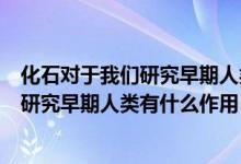 化石对于我们研究早期人类有什么作用简短（化石对于我们研究早期人类有什么作用）
