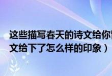 这些描写春天的诗文给你留下了怎样的印象（描写春天的诗文给下了怎么样的印象）