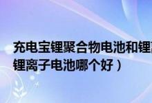 充电宝锂聚合物电池和锂离子电池哪个好（锂聚合物电池和锂离子电池哪个好）