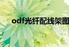 odf光纤配线架图片(odf是什么意思)