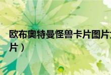 欧布奥特曼怪兽卡片图片大全大图高清（欧布奥特曼怪兽卡片）