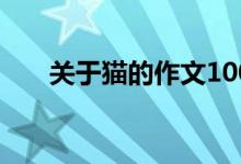 关于猫的作文100字（关于猫的作文）