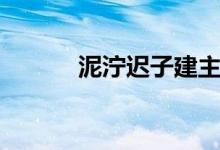 泥泞迟子建主旨（泥泞迟子建）