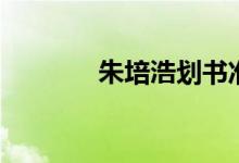 朱培浩划书准确率（朱培浩）