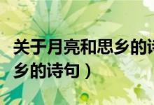 关于月亮和思乡的诗句和名言（关于月亮和思乡的诗句）