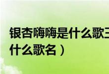 银杏嗨嗨是什么歌王者（银杏嗨嗨的闽南语是什么歌名）