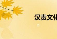 汉责文化sp视频大全