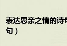表达思亲之情的诗句古诗（表达思亲之情的诗句）