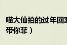 喵大仙拍的过年回家的视频（喵大仙带你停药带你菲）