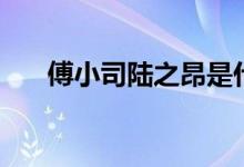 傅小司陆之昂是什么电视剧（傅小司）