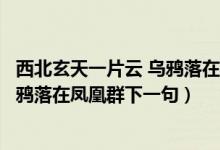 西北玄天一片云 乌鸦落在凤凰群啥意思（西北玄天一片云乌鸦落在凤凰群下一句）