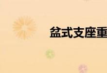 盆式支座重量（盆式支座）