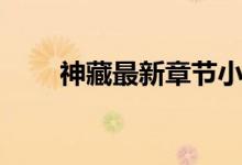 神藏最新章节小说（神藏最新章节）