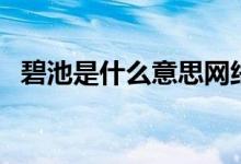 碧池是什么意思网络语（碧池是什么意思）