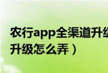 农行app全渠道升级怎么弄（农业银行全渠道升级怎么弄）