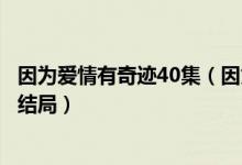 因为爱情有奇迹40集（因为爱情有奇迹电视剧全集爱奇艺大结局）