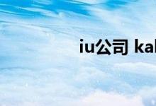 iu公司 kakao（iu公司）