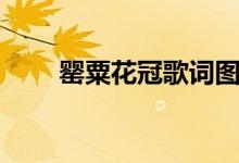 罂粟花冠歌词图片（罂粟花冠歌词）