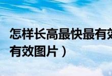 怎样长高最快最有效的方法（如何长高最快最有效图片）