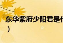 东华紫府少阳君是什么意思（东华紫府少阳君）