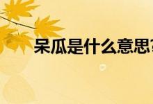 呆瓜是什么意思?（呆瓜是什么意思）