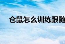 仓鼠怎么训练跟随主人（仓鼠怎么训练）