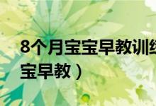 8个月宝宝早教训练包括哪些方面（8个月宝宝早教）