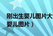 刚出生婴儿图片大全可爱 真实照片（刚出生婴儿图片）