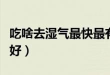 吃啥去湿气最快最有效（吃什么去湿气效果最好）
