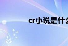 cr小说是什么意思（cr小说）