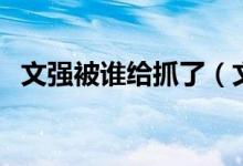 文强被谁给抓了（文强背后的保护伞是谁）