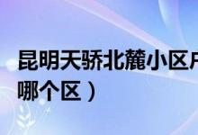 昆明天骄北麓小区户型图（昆明市天骄北麓是哪个区）