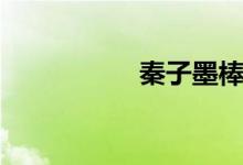 秦子墨棒球（秦子墨）