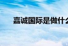 嘉诚国际是做什么的（嘉诚国际官网）