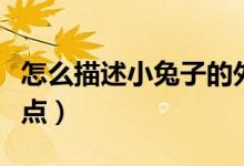 怎么描述小兔子的外形特点（小兔子的外形特点）