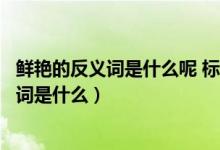 鲜艳的反义词是什么呢 标准答案（鲜艳的反义词是什么反义词是什么）