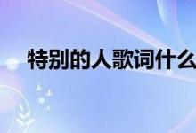 特别的人歌词什么意思（特别的人歌词）