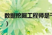 数据挖掘工程师是干什么的（数据挖掘工程师）