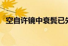 空自许镜中衰鬓已先斑（镜中衰鬓已先斑）