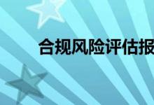 合规风险评估报告内容（合规风险）