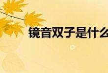 镜音双子是什么关系（镜音lenka）