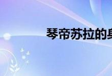 琴帝苏拉的身份（琴帝苏拉）
