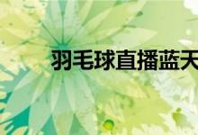羽毛球直播蓝天（羽毛球直播360）