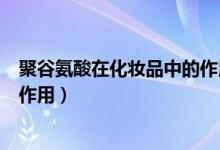 聚谷氨酸在化妆品中的作用与用途（聚谷氨酸在化妆品中的作用）