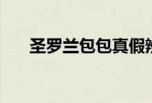 圣罗兰包包真假辨别图（圣罗兰包包）