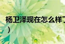 杨卫泽现在怎么样了（杨卫泽为什么整季建业）