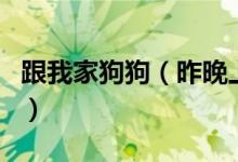 跟我家狗狗（昨晚上实在忍不住和我家的狗狗）
