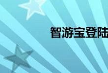 智游宝登陆（智游宝登录）