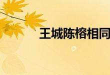 王城陈榕相同的书（陈蓉小说）