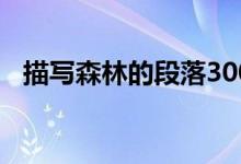 描写森林的段落300字（描写森林的段落）
